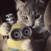 piratka_s