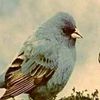 💫والله وحشاني موات 💫