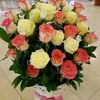 user6006220611499