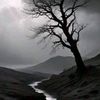 alibaloch2494