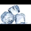 frost7998