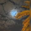 moon2949524199247