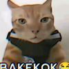 kokekab3443
