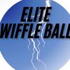 elite.wiffle.ball2