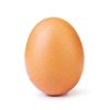 infamous_egg