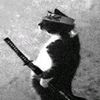 paw_tuah1
