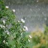 rain_10.11