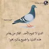 user3801670429041