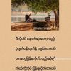 minhtet50.0