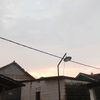 syahrul969.1