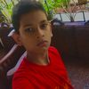 vihen_dinhas