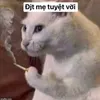 v.mt.tltv