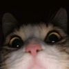 uwiiiiiiiii42