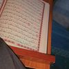 maqzuud7