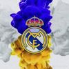 karim.krimo046