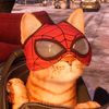 sp1derman_cat