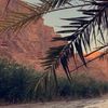 user1920304178059