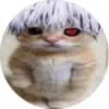 asdwasw1