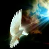 user432480061368