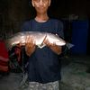 sugeng.riyanto073