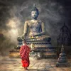 tuan.hai28_01