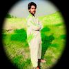 shaan.ali6596