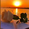 nuray_nur000