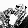 ᷂فــواز ᷂الـشـمـري