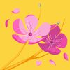 mostafizur.rahman151