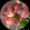 ur_daw_win_win_khaing
