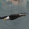aiiiiiiiiiiiii57
