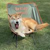 My Dog-1