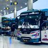official_7374