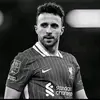 sosal_pisun_ronal