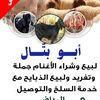 user5595386006302