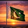 hammad.ali.gujjar.3