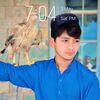 hamzakhan03705