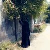 mim.akhter780