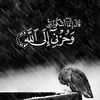 se_cem