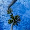 nishu_____perera