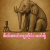 zawzaw38070gp