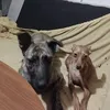 toniherediamaya7