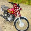 awisafridi49