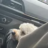 user_di_tiktok1