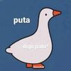 angelitonojoda