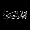 shahznan_ss.155