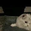 mmm__jj5555