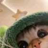 xdvhahaha_203
