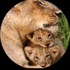 www.france13
