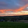paulinchen_1